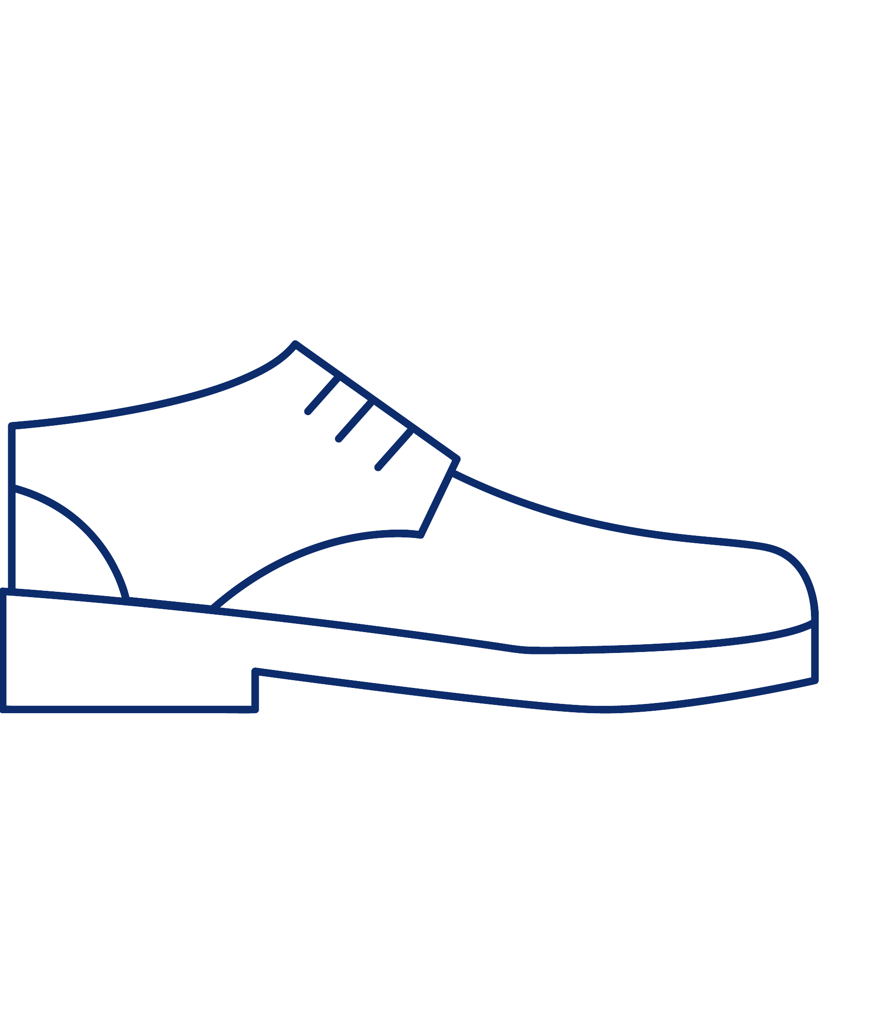 Shoe Image